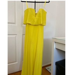BCBG Maxazria Long Evening Dress/Gown